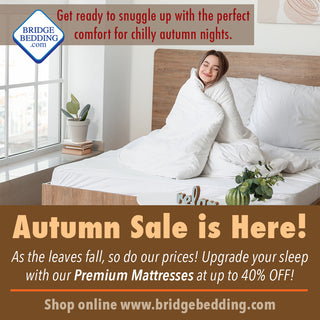 Autumn Sale is Here!